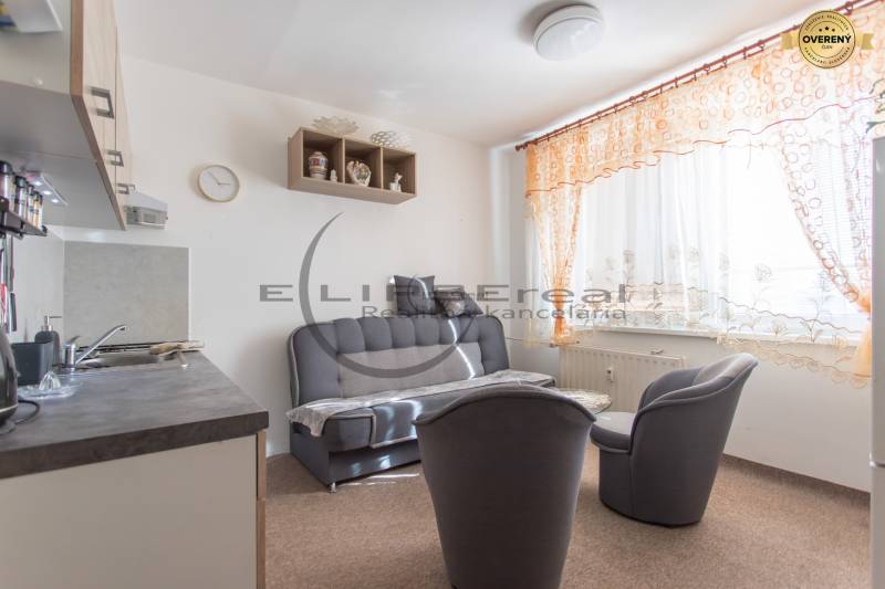 A bright living area in a studio apartment with a comfortable sofa and a kitchenette.