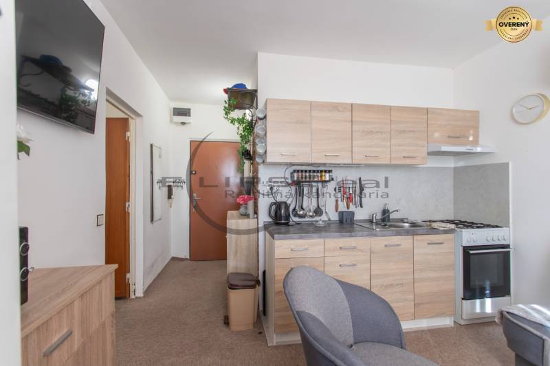 A kitchen in a studio apartment with wooden decor furniture and comfortable seating.