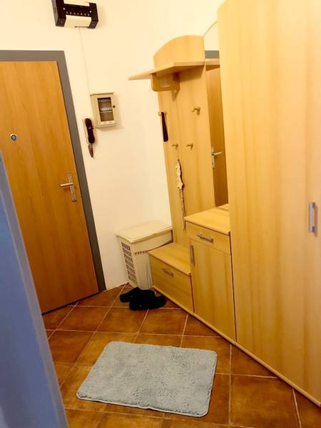 Hallway in a one-room apartment with a shoe cabinet, cupboard, and a telephone on the wall.