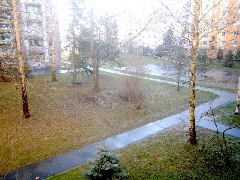 A garden with trees and a path surrounded by apartment buildings in Piešťany.