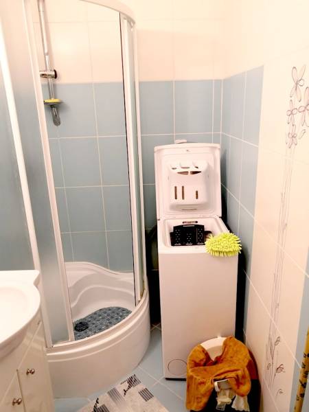 A bathroom in a studio apartment with a washing machine and a shower.