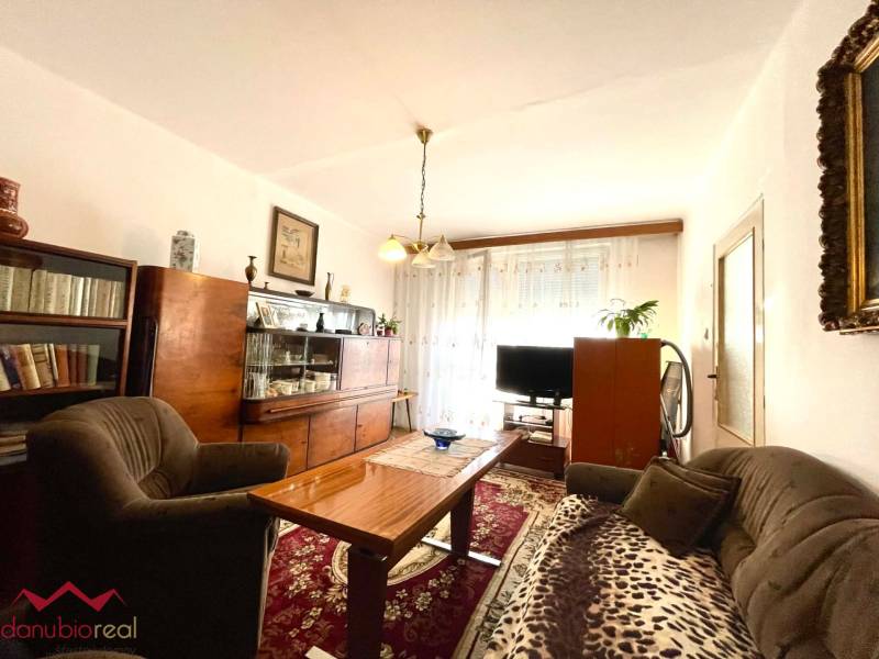 A living room in a one-room apartment with antique furniture and a carpet.