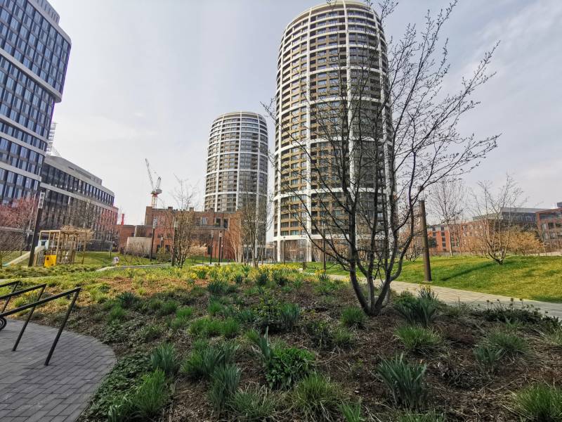 Modern high-rise buildings and greenery in Bratislava - Staré Mesto on Čulenova Street.