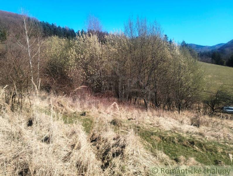 A wooded landscape in Vydrná suitable for residential plots, with a view of the forests.