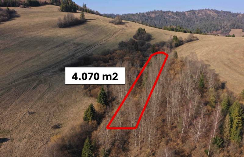 Forest land in the vicinity of Námestovo, marked with an area of 4,070 m².