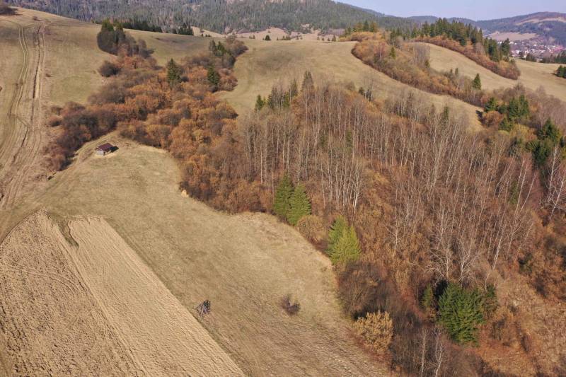 Agricultural and forest land around Námestovo with a cottage and grassy areas.
