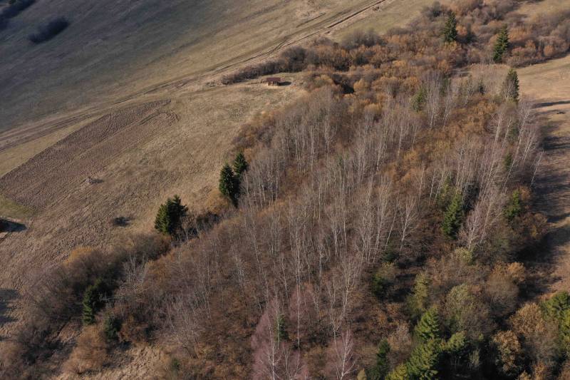 Landscape in Námestovo with agricultural and forest lands surrounded by trees in the autumn season.