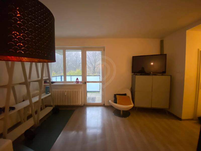 Living room in a two-room apartment with wood decor and a balcony.