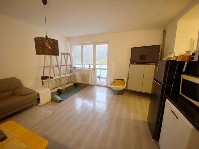 Living room with wood-patterned flooring, a sofa, and a television in a 2-room apartment.