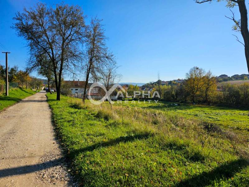 A rural path and houses in the background surrounded by nature in Spišské Podhradie, Land - housing.