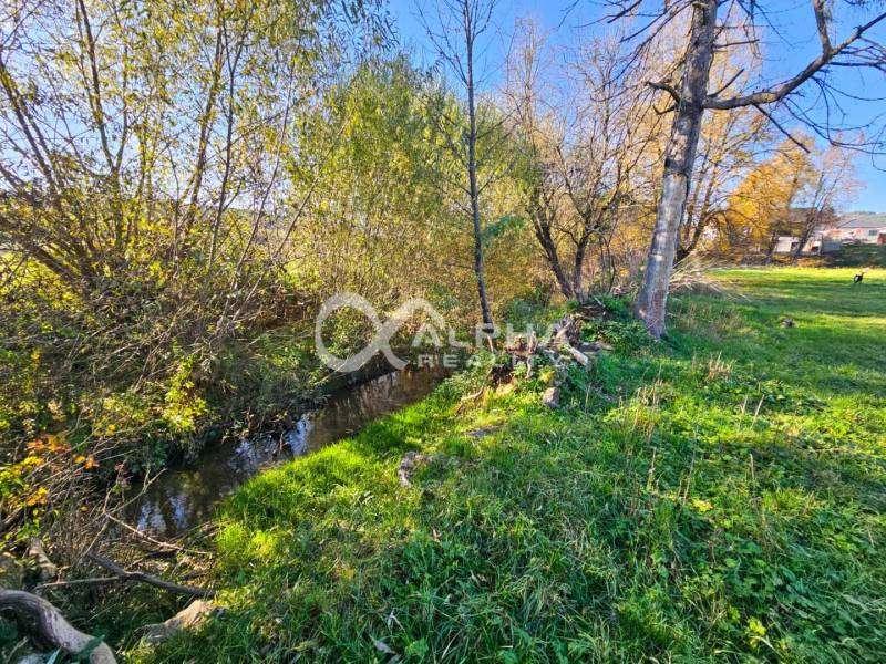 Residential plots by the stream and trees in Spišské Podhradie.