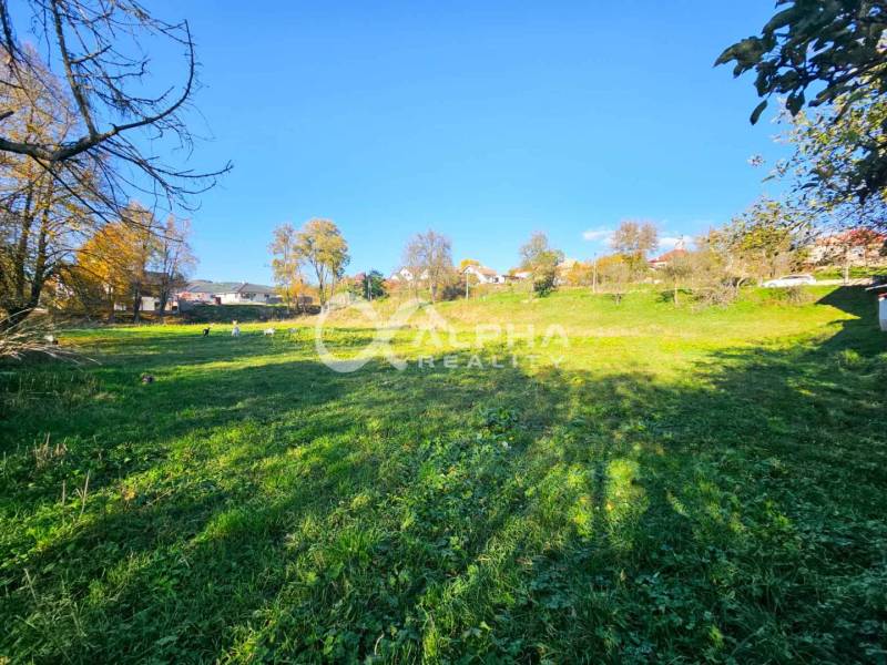 A vast green plot in Spišské Podhradie designated for housing, surrounded by trees and houses.
