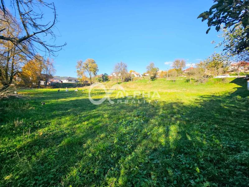 Greenery and trees on a plot in Spišské Podhradie suitable for living.