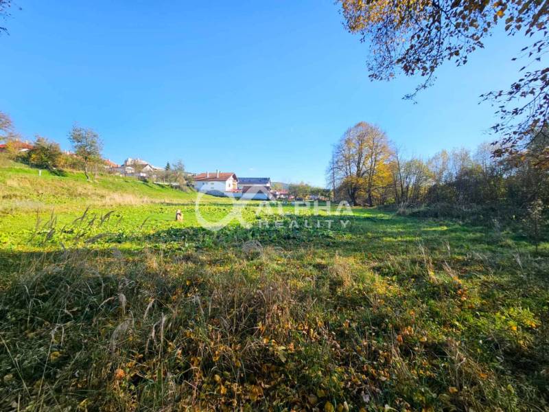 Greenery on plots in Spišské Podhradie suitable for living under a clear sky.