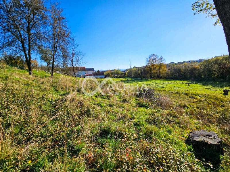 Beautiful residential land amidst nature in Spišské Podhradie, ideal for a construction project.