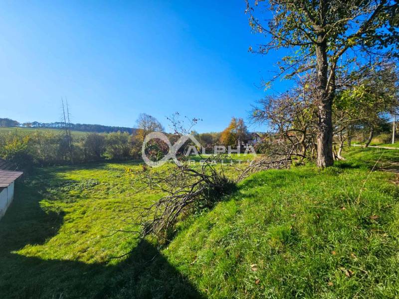 Greenery and trees suitable for residential plots in Spišské Podhradie.