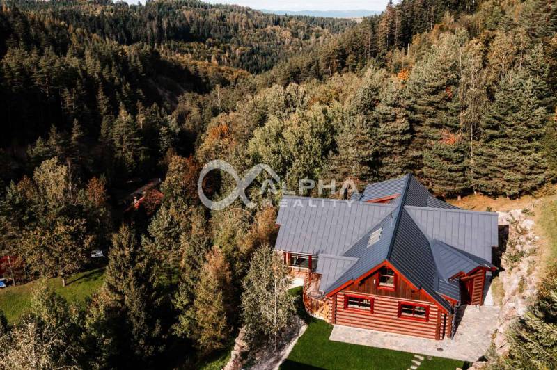 A family house in Hnilčík surrounded by forest, with a stone terrace and wooden decor.