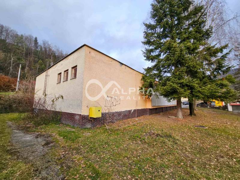A building in Helcmanovce surrounded by greenery, next to a tall conifer.