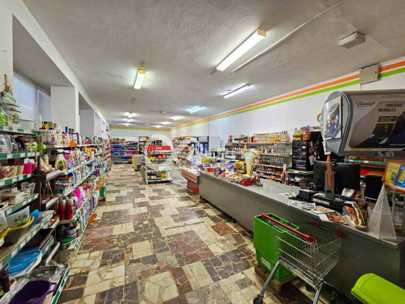 A store with a variety of goods, a checkout counter and shelves, a floor with a wooden decor.