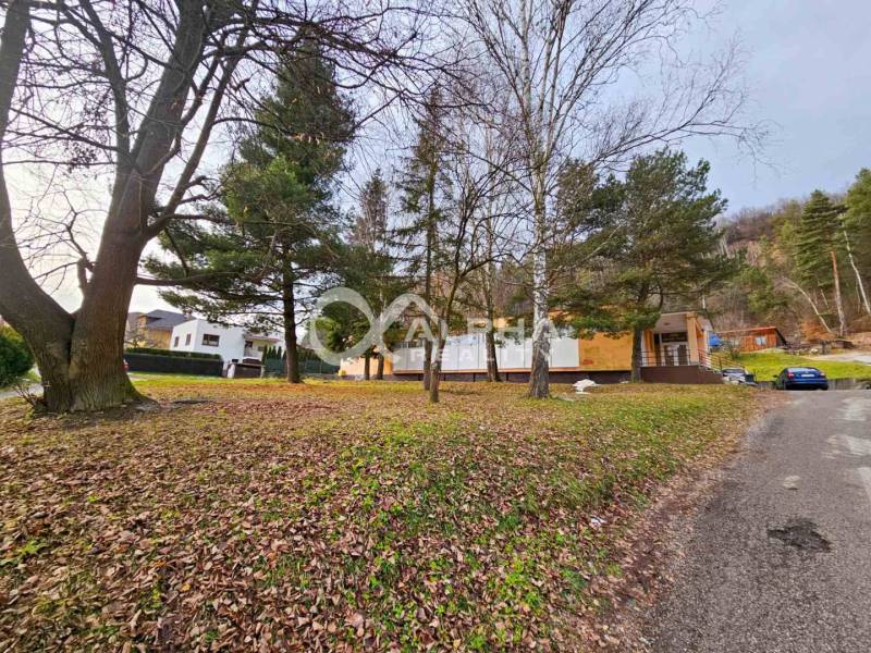 A building in Helcmanovce surrounded by trees, along an asphalt road, with autumn leaves.
