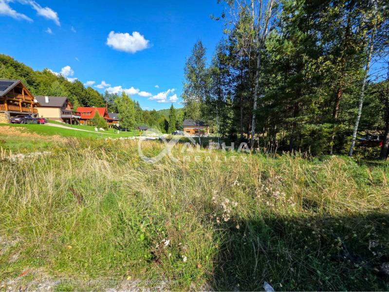 Plots - living in Spišské Vlachy with a rural atmosphere and surrounding houses in the forest.