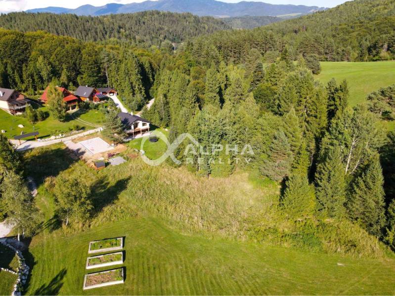 Meadow plots for housing in Spišské Vlachy surrounded by forests and cottages.