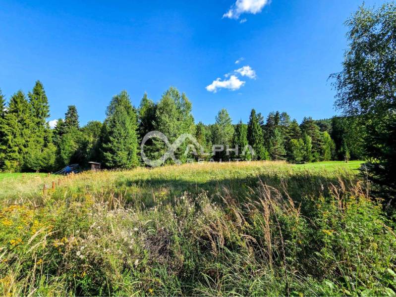 Grassy Lands - living in Spišské Vlachy with a forest and a blue sky in the background.