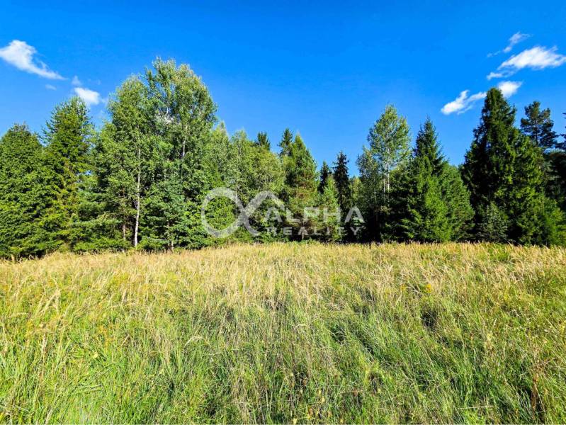 A meadow with grass and trees in Spišské Vlachy, ideal for residential plots.