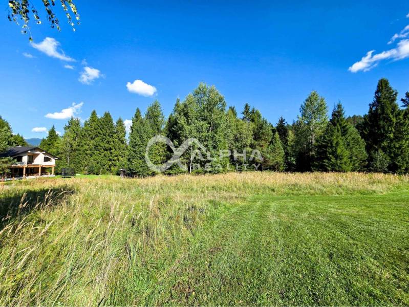 Lands - housing of Spišské Vlachy with a house on the edge of a forest and meadow.