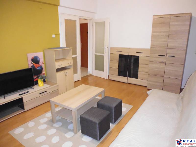 Living room in a studio apartment with flooring and wooden decor, furniture, and a television.