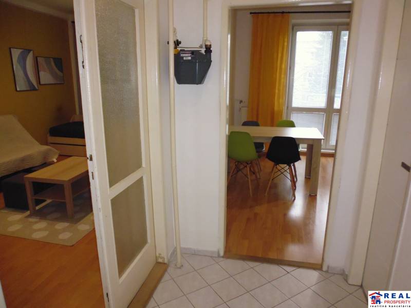 A hallway with an entrance to the dining room and living room in a one-bedroom apartment with a wooden decor floor.