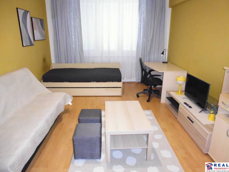 Living room in a one-bedroom apartment with wood-patterned flooring, a sofa, and a television.