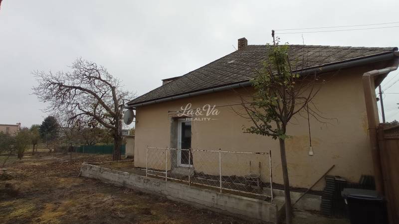 A family house in Šurany with an adjacent tree and a fenced garden.