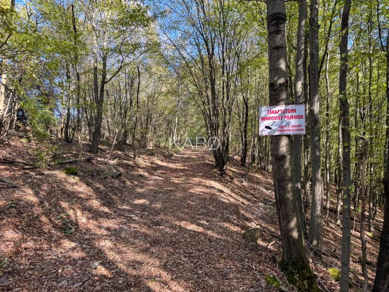 Forest path with a notice in Agricultural and Forest Lands in Lackov.