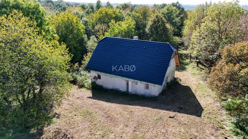 A cottage surrounded by forests and meadows in agricultural and forest lands near Lackov.