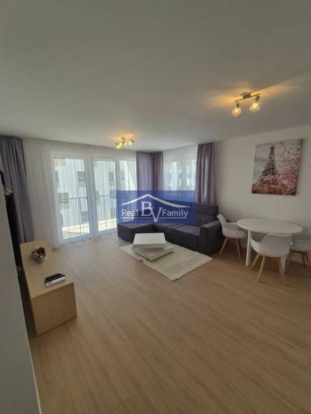 Living room in a two-room apartment with a wooden decor floor and comfortable seating.