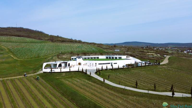 Vineyards in Bare are surrounded by modern buildings amidst green hills with narrow roads.