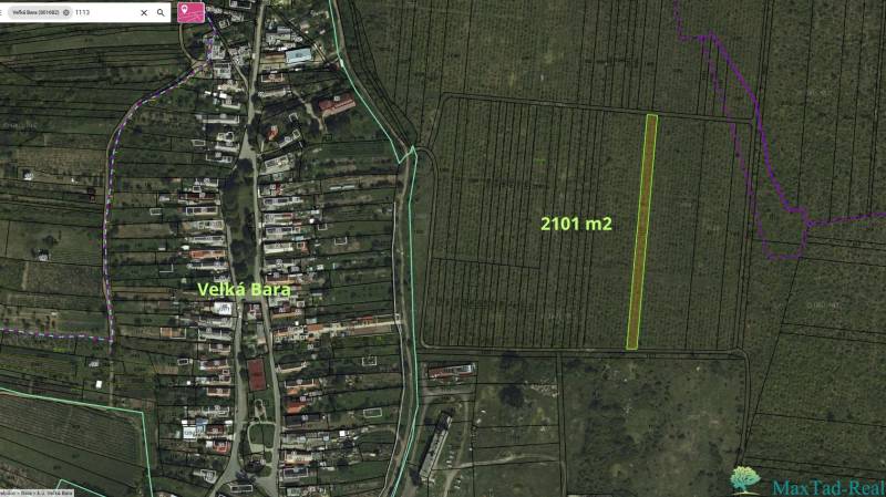 Aerial view of vineyards in Veľká Bara with a marked plot of 2101 m².