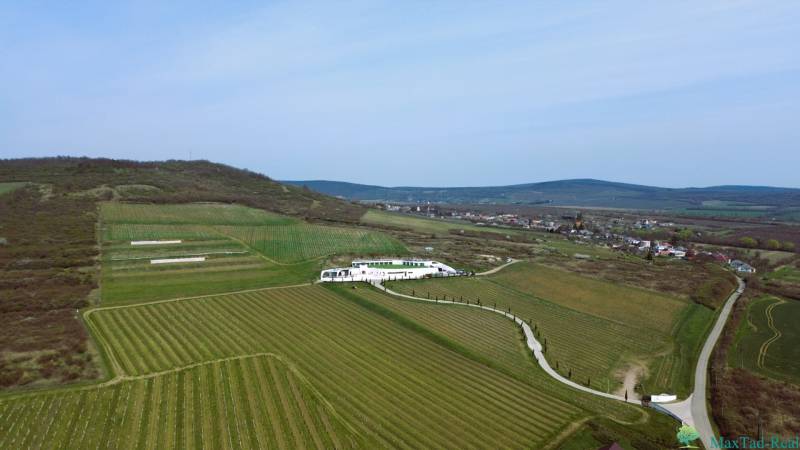 Vineyards in Bare with a modern building amidst picturesque countryside and hills.