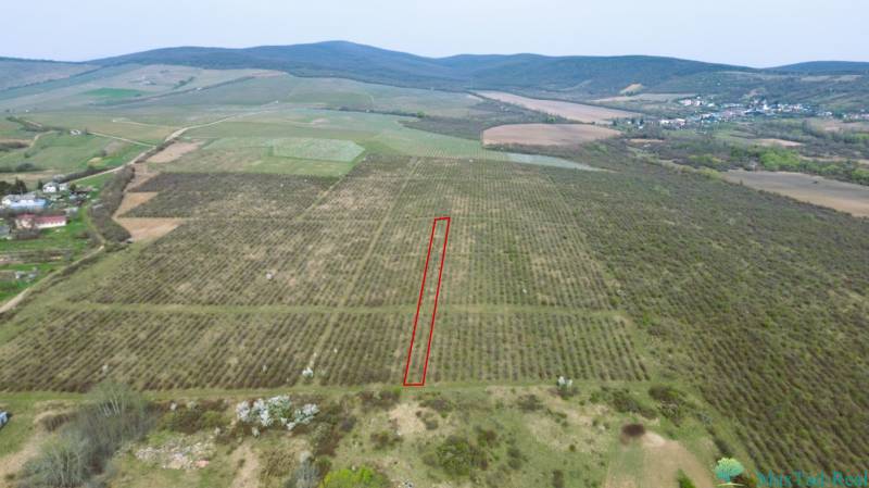 Vineyards in Bare with green fields, surrounded by hills and rural buildings.