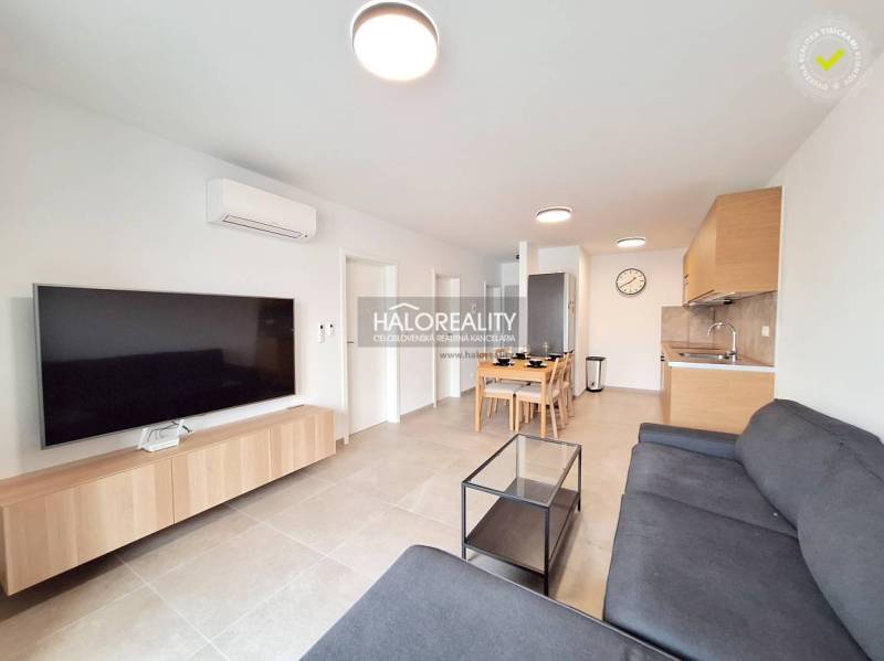 Living room in a 2-room apartment with a TV, sofa, and kitchenette.