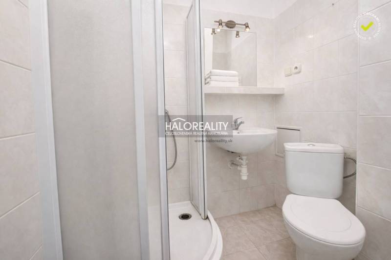 Bathroom with shower and toilet in a studio apartment.