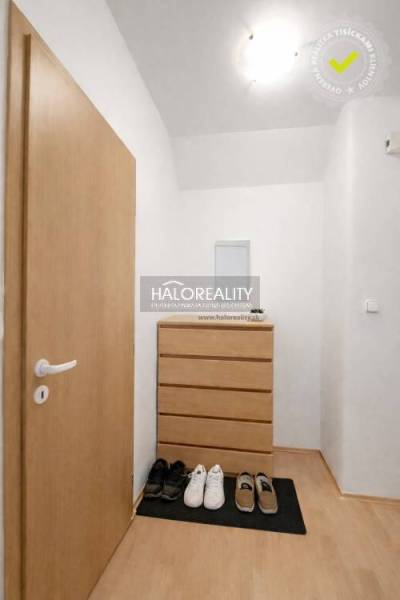 The entrance hall in the studio apartment with a shoe cabinet, doors, and a wooden decor floor.
