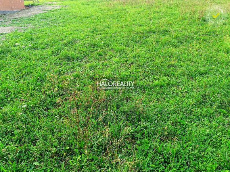 Green grassy plot in Margecany suitable for living.