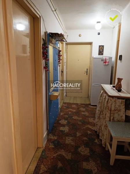 Hallway in a 2-room apartment with a built-in wardrobe, refrigerator, and carpeted floor.