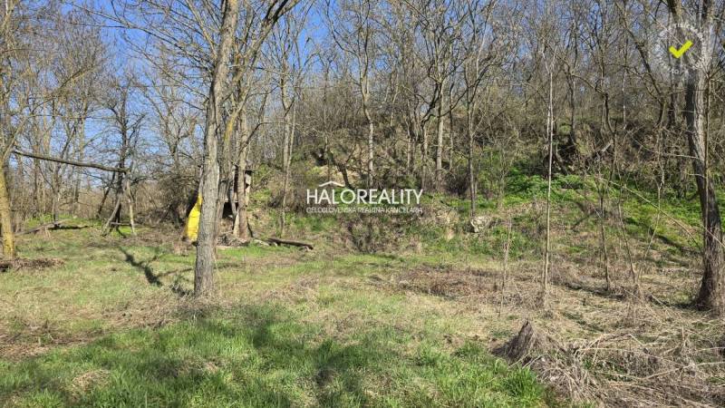 Recreational land in Zalaba with forest cover and grassy area.