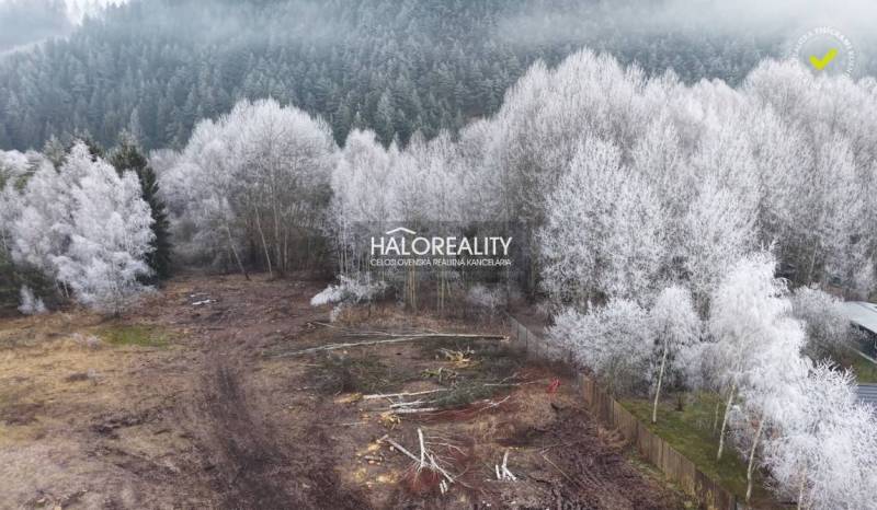 Snow-covered trees and cleared areas, recreational lands in Liptovský Ján.