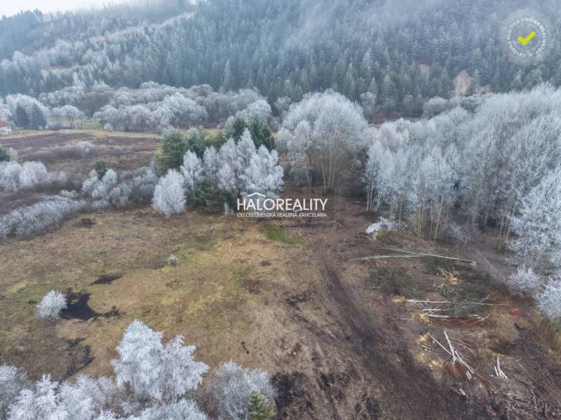Snow-covered recreational plots in Liptovský Ján, surrounded by coniferous forests and white trees.