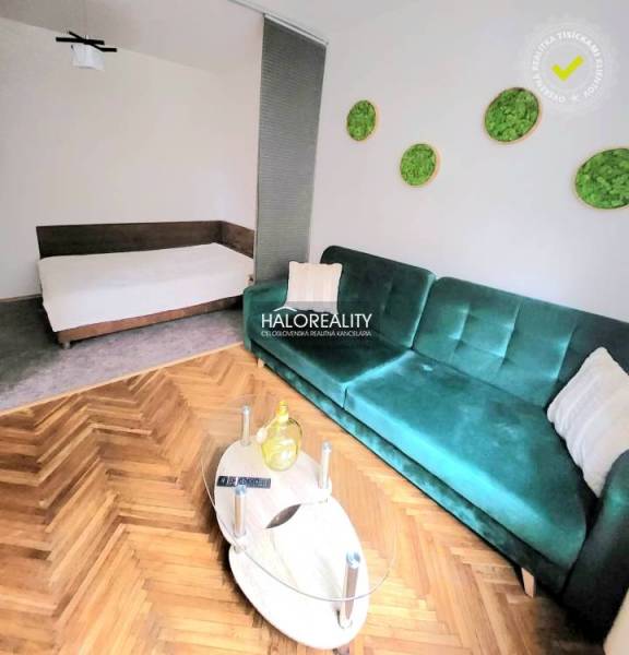 Living area with a sofa and a bed, wooden decor flooring, studio apartment.