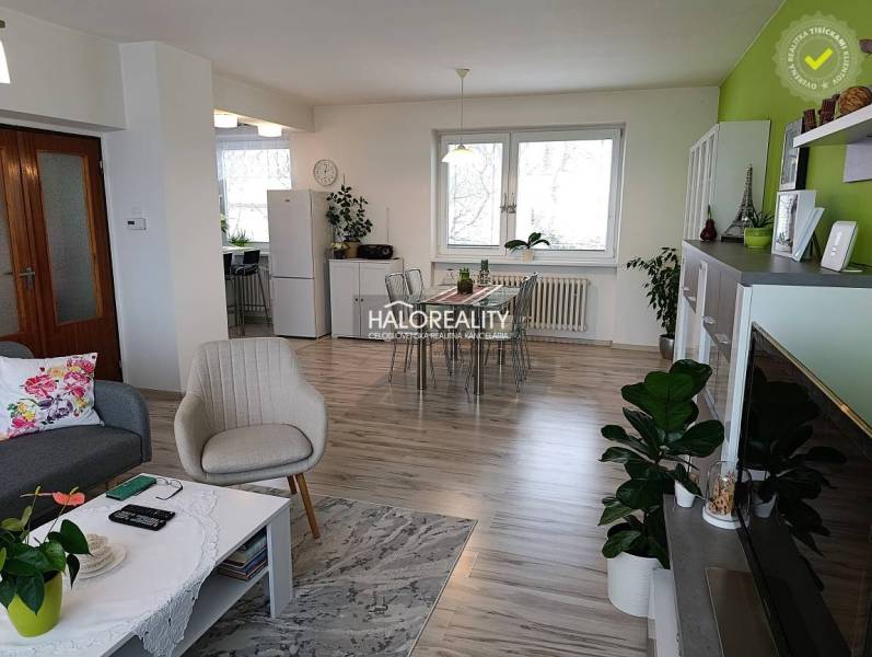 Living room with wood-patterned flooring, comfortable furniture, and plants in a family house.